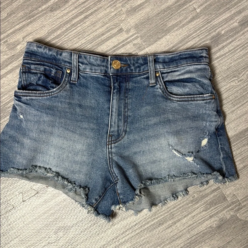 Kut from the Kloth Denim Blue Women's Shorts size 4